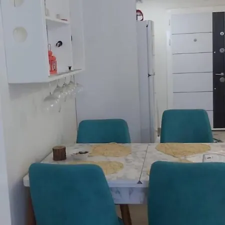 Studio Apt. Kestel 아파트 *